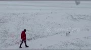 temp