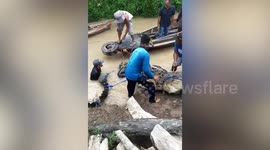 Villagers in Indonesia capture crocodile after 17-year-old killed