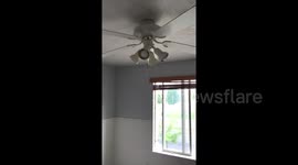 Broken fan in house turns light fitting into makeshift disco