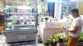 Sweet shop owner finds monitor lizard cooling off in ice cream machine