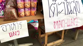 Generous cat lover is giving away free tins of pet food for animals struggling during pandemic