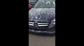 New York motorist fuming after concrete water dumped on car by construction crew