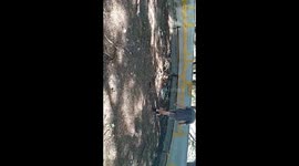 Southern African rock python rescued