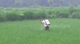 the farmer is spraying pests