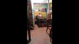 Thousands of insects attacked the houses in the northern mountains of Vietnam