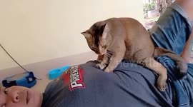 Rescued cat give her new owner massages when he returns home from work