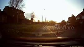 Dash cam, wrong way round mini roundabout