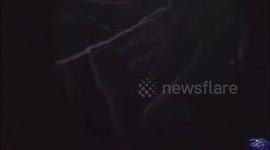 I CAPTURED THE OWLMAN ON VIDEO AND AUDIO