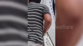 Four kittens rescued after getting stuck in gap between garage shutters in Thailand