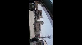 Locust attack in a city