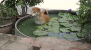 temp
