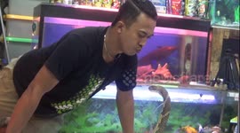 Man KISSES enormous deadly male king cobra