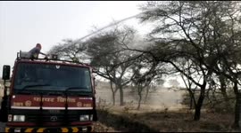 Indian farmers beat utensils, play loud music and spray pesticides to drive away locusts