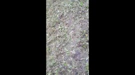 Kid fail sssuuupeerrr maaan