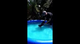 Why swimming wen you can walk in the pool