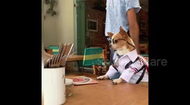 My life, my breakfast