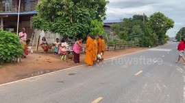 Rescue elephant helps to give donations to Buddhist monks