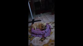 Sparkle anxiety about Corona