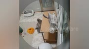 temp