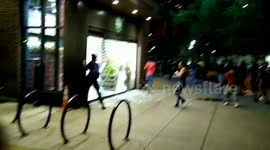 US Unrest: Rioters and looters in Dallas smash Whole Foods window and enter store