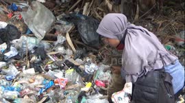 Indonesian housewife rescues homeless cats from huge mounds of garbage