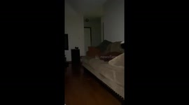 Can anyone identify this??