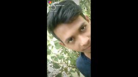 Likevideogamersandfane video