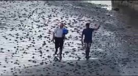 Fisherman stunned to find and rescue baby dear who was discovered out at sea