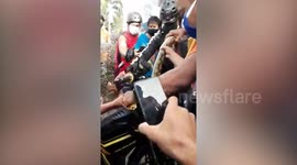 Python caught hiding inside motorcycle headlight in the Philippines