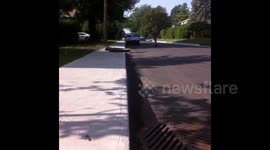 Curb Stunt on Scooter