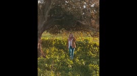 Taking pictures by nature