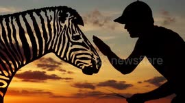 Photographer creates scenes using cardboard cut in creative shapes then silhouetted in the sunset