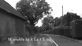 Who let the goats out