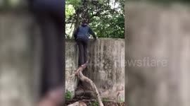 Hungry monkeys found dead after getting stuck in water tanks while searching for food