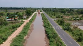 Drought-hit farmers perform dance dressed as cats to pray for rain in Thailand