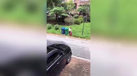 Chinese boy throws rubbish into bin in the most nonchalant way