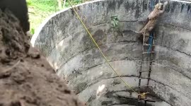 Forest officials use ladder to rescue leopard stranded in well in western India