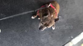 I guess not everyone likes to use their daily exercise!