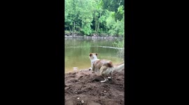 Louie making a big splash