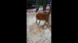 Quarantine Days Not Bad