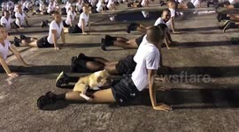 Pet dog climbs on army cadet's back while he exercises
