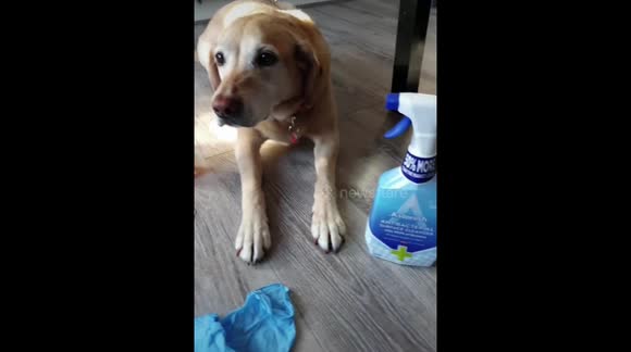 Bella has an important message