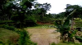 Fantastic weather tea Garden,,,