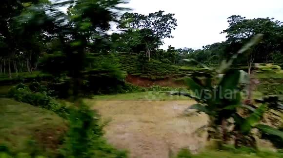 Fantastic weather tea Garden,,,