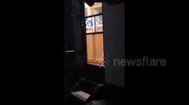 Newsflare Edit - Cat tries to help dog  sneak  out and gets caught