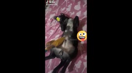 Playingtime with ma mamma