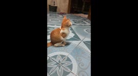 Am watching mamma dont disturb me....