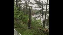 Muskokan storm aftermath p1