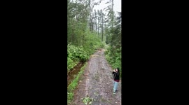 Just one path of destruction