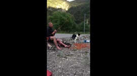 Dog, concentrated and anxious because of her owner, climbing a rock.